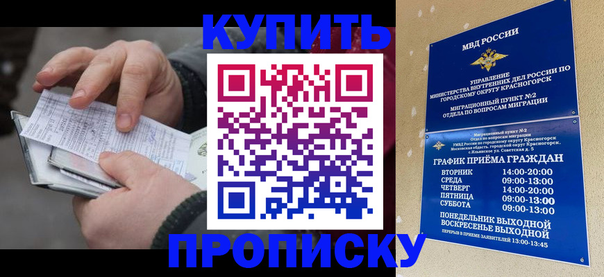 временная регистрация недорого в Мурманской области